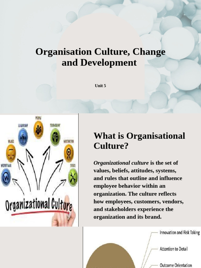 Understanding Organizational Culture and Change | PDF | Occupational ...