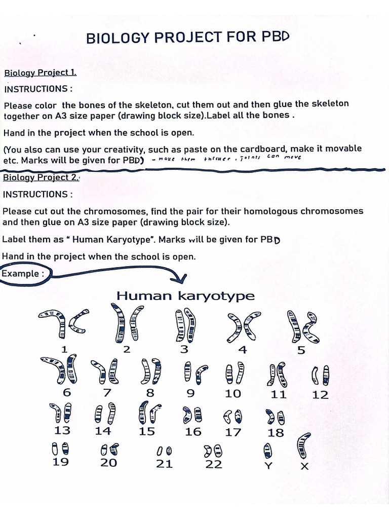 Project Bio | PDF