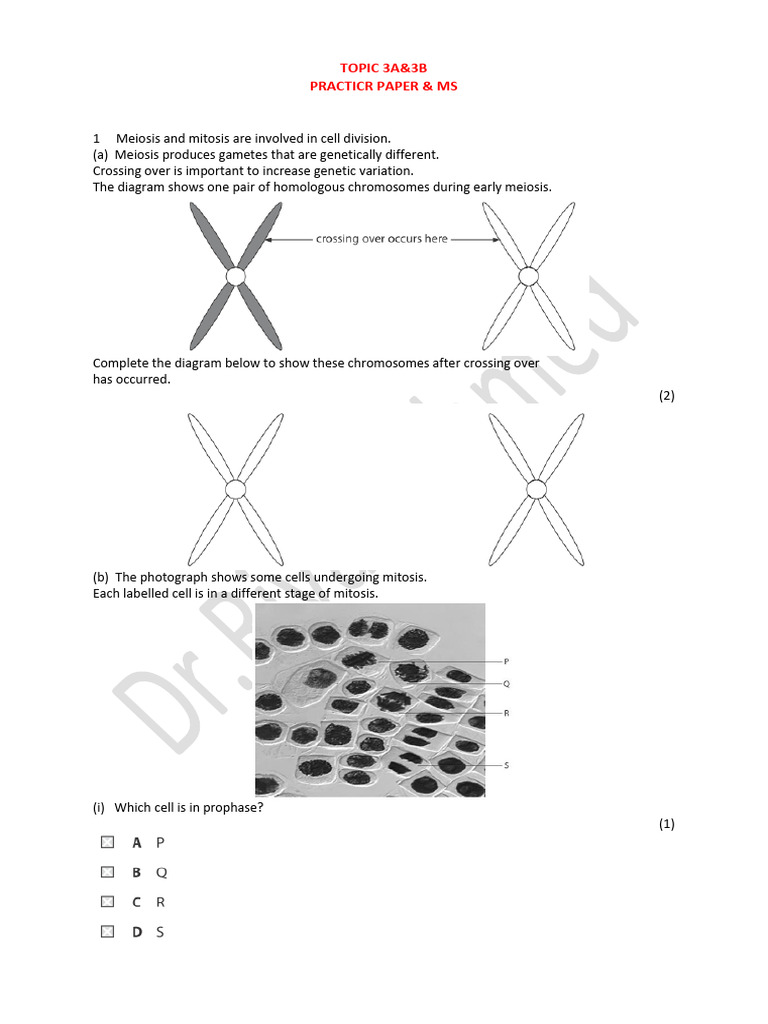 BIOLOGY 3A&3B AS PRACTICE PAPER | PDF | Mitosis | Meiosis