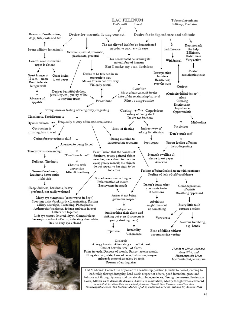 Homeopathic Mind Maps Remedies Of The Animal Kingdom By Alicia Lee 
