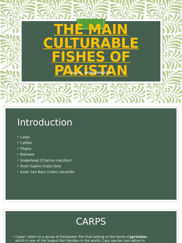 Main Culturable Fishes in Pakistan | PDF | Fish | Fishing Industry