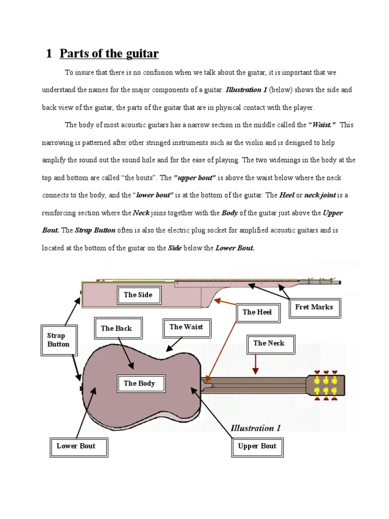Parts of the Guitar Illustration & brief description Guitars