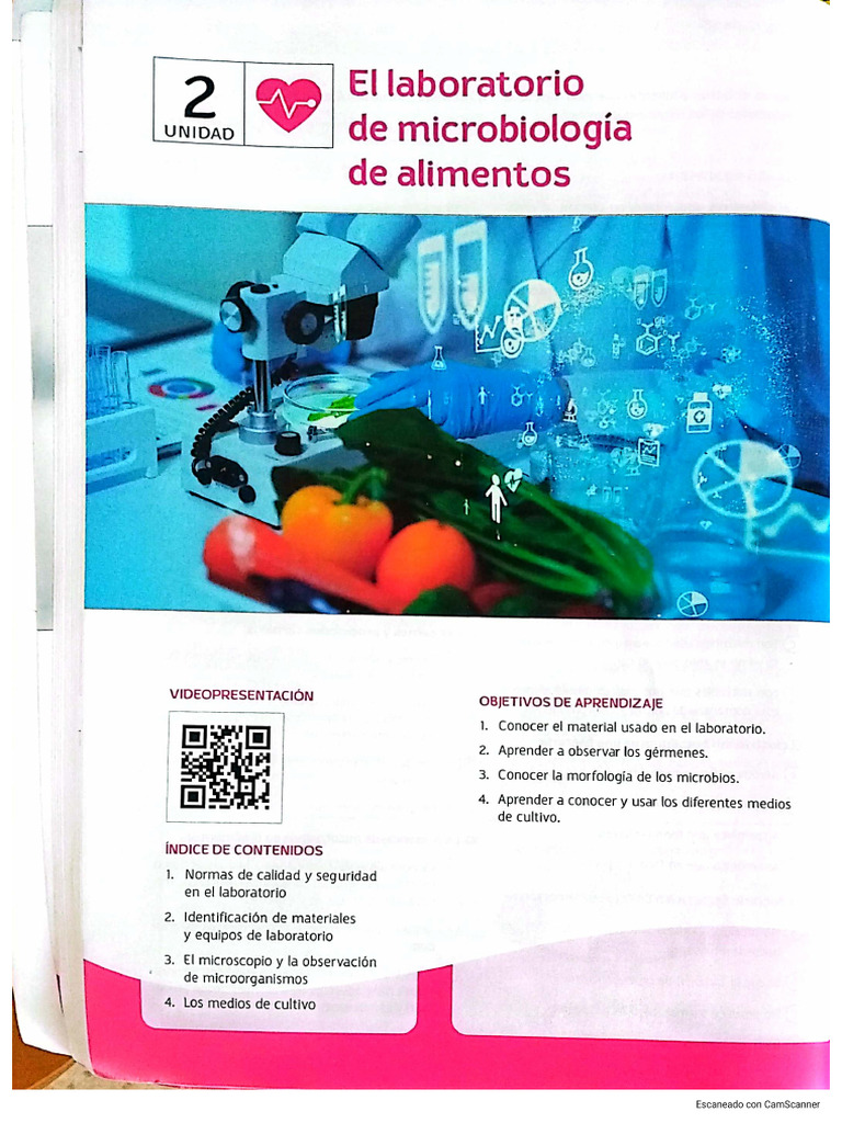 Tema 2 Micro | PDF