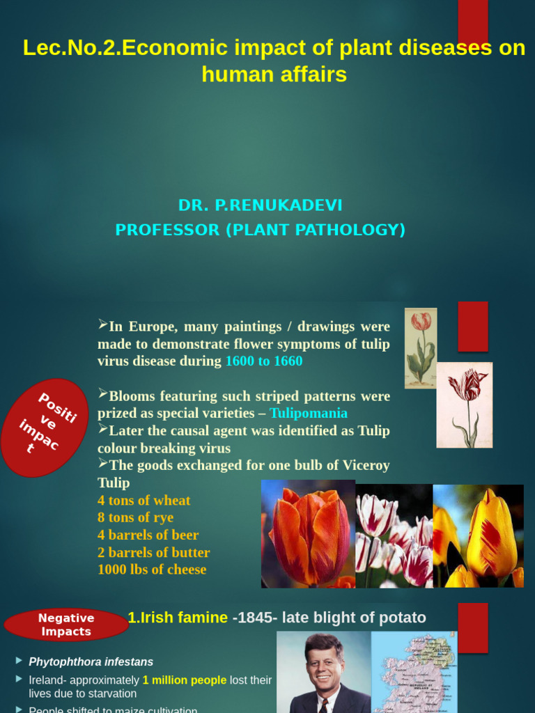 Economic Impact of Plant Diseases | PDF | Botany | Plants