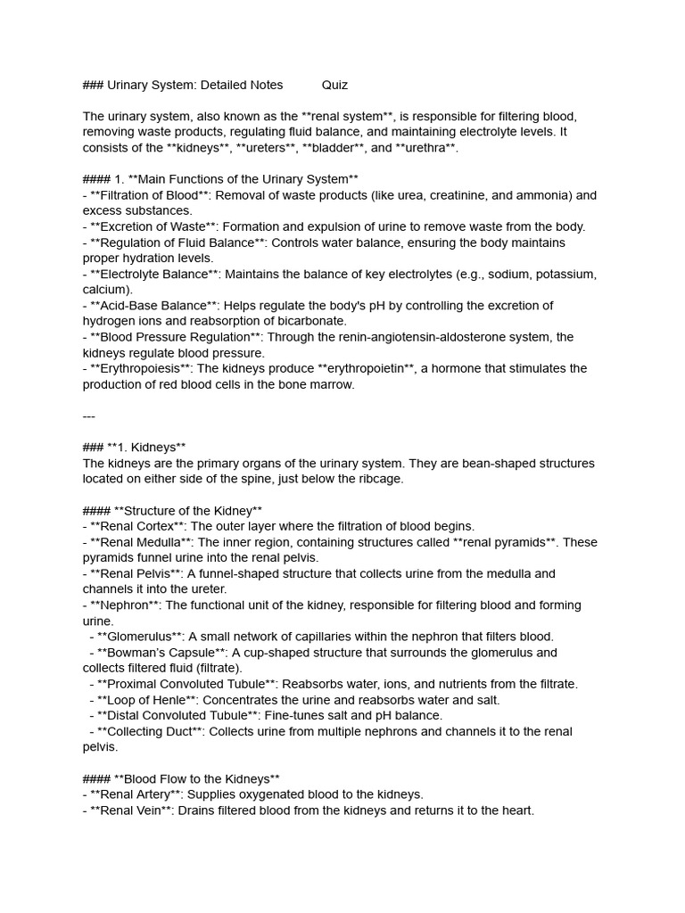 Urinary System - Detailed Notes | PDF | Kidney | Urinary System