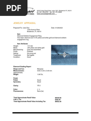 Jewelry Appraisal Template Editable