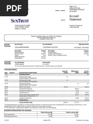 Suntrust Bank Statement Editable Template
