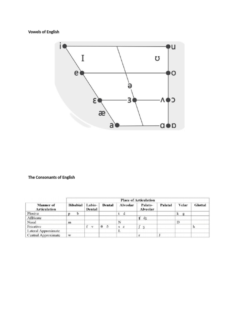 Vowels of English PDF