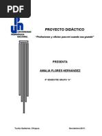 PROYECTO DIDÁCTICO AMY