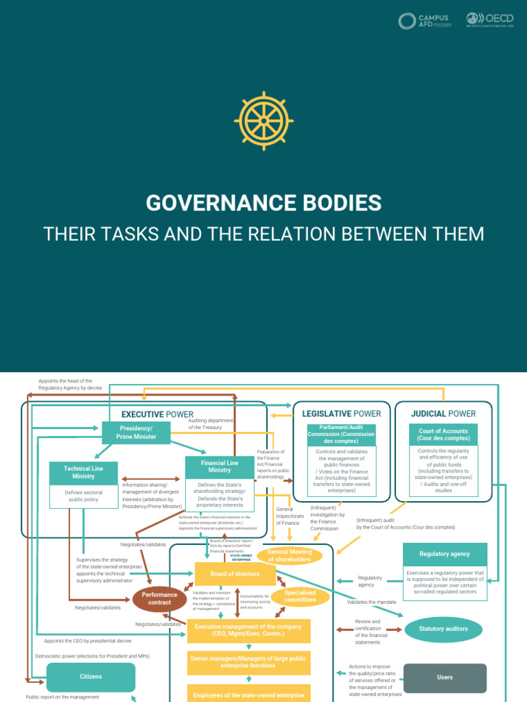 Governance Bodies and Their Roles | PDF | State Owned Enterprise | Audit