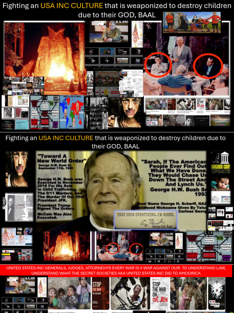 BLUF Fighting an USA INC CULTURE that is weaponized to destroy