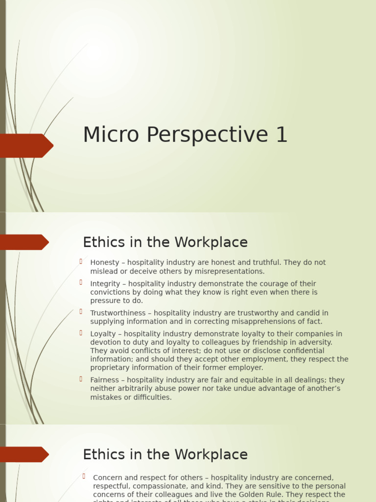 Micro Perspective 1 | PDF | Low Cost Carrier | Transport Infrastructure