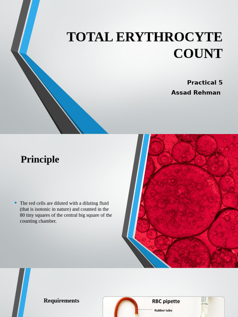 Lec 5 of Blood Disorder | PDF | Red Blood Cell | Blood