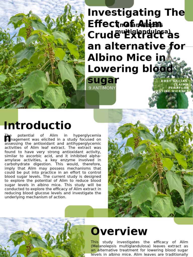 Alim Extract Lowers Blood Sugar in Mice | PDF | Hypoglycemia | Clinical ...