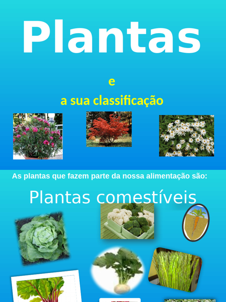 Seres Vivos - As Plantas | PDF | Tecnologia e Engenharia