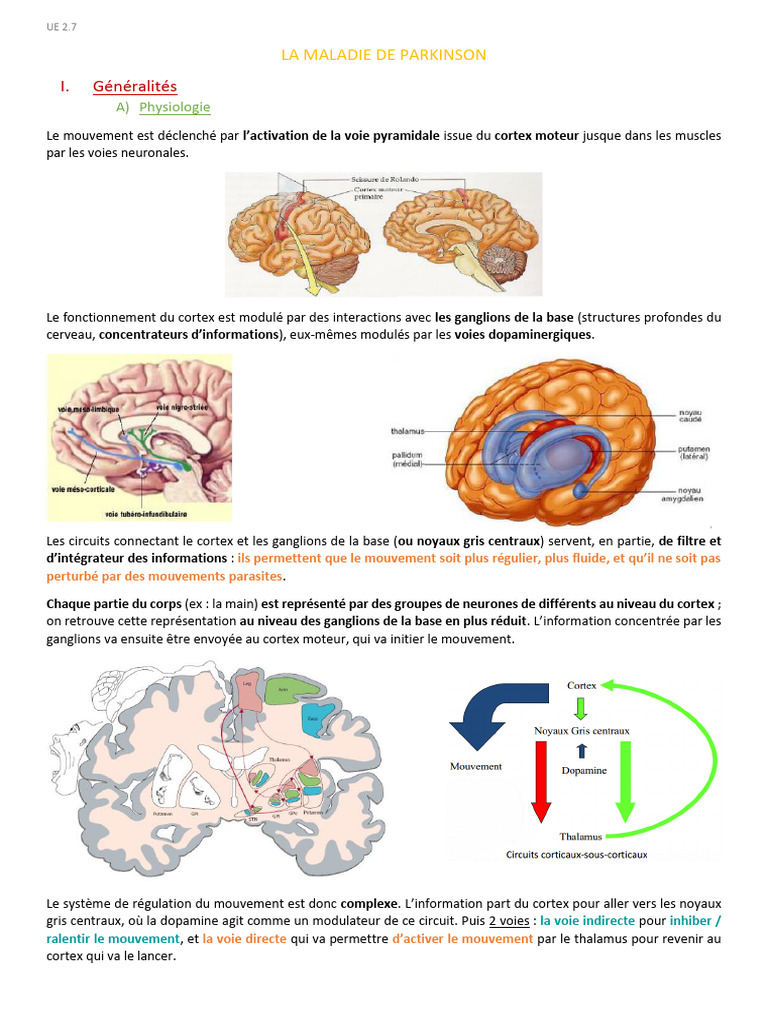 Comprendre la maladie de Parkinson | PDF | Maladie de Parkinson | Dopamine
