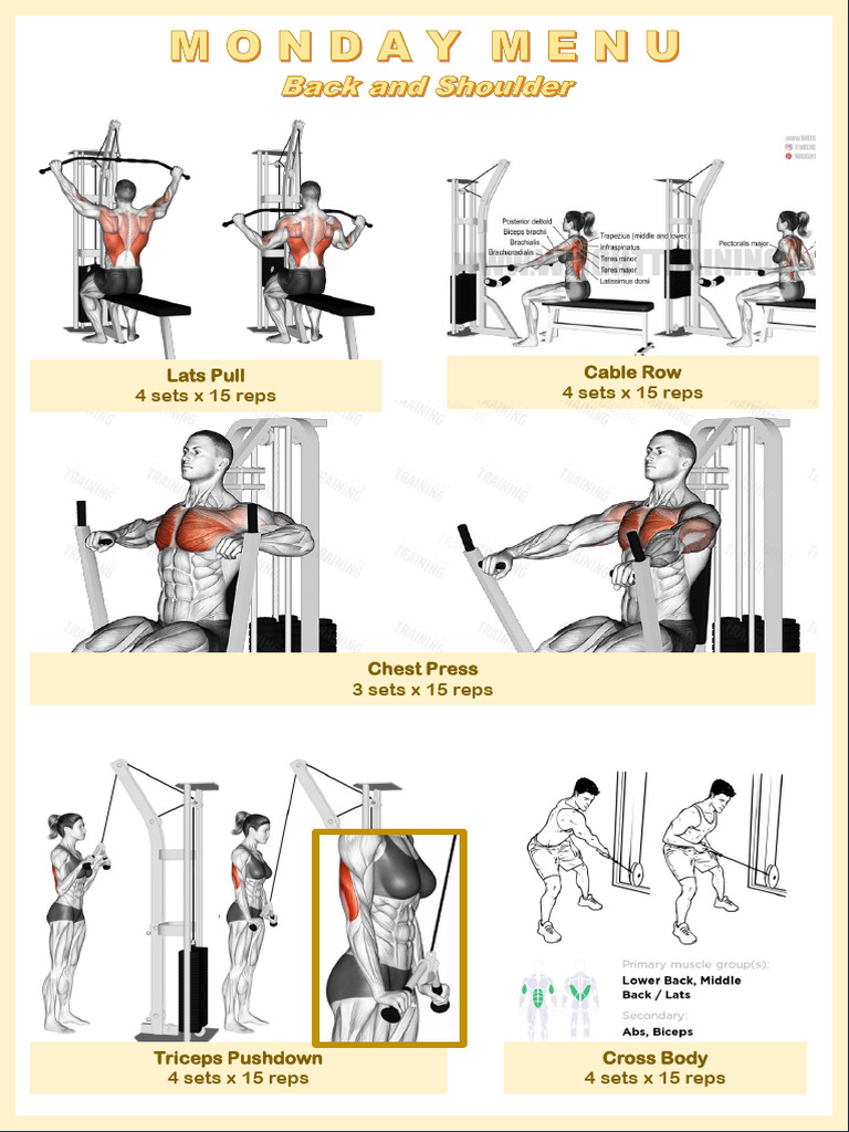Weekly Workout Plan | PDF