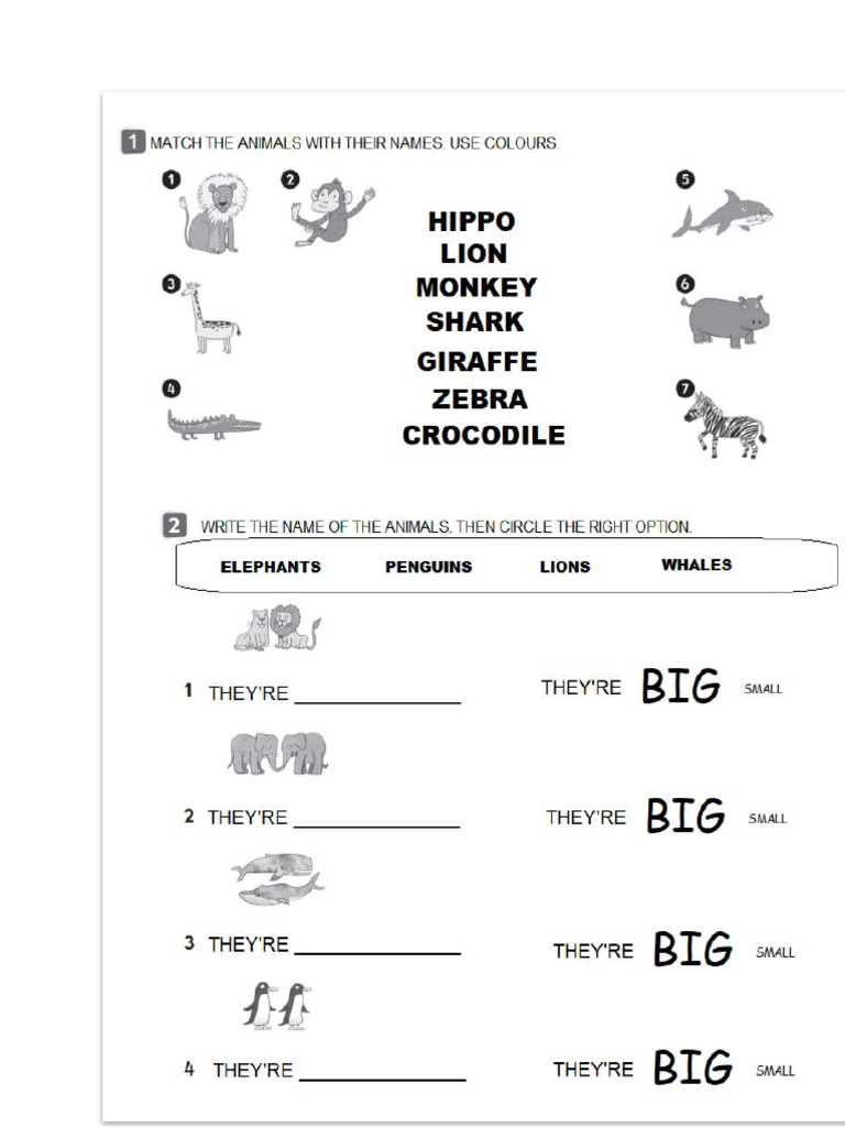 Wild Animals | PDF