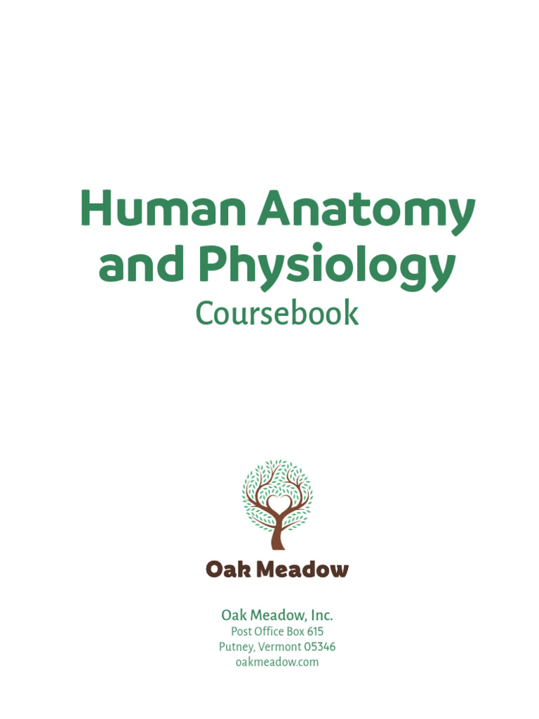 Human Anatomy and Physiology Overview | PDF | Anatomical Terms Of ...