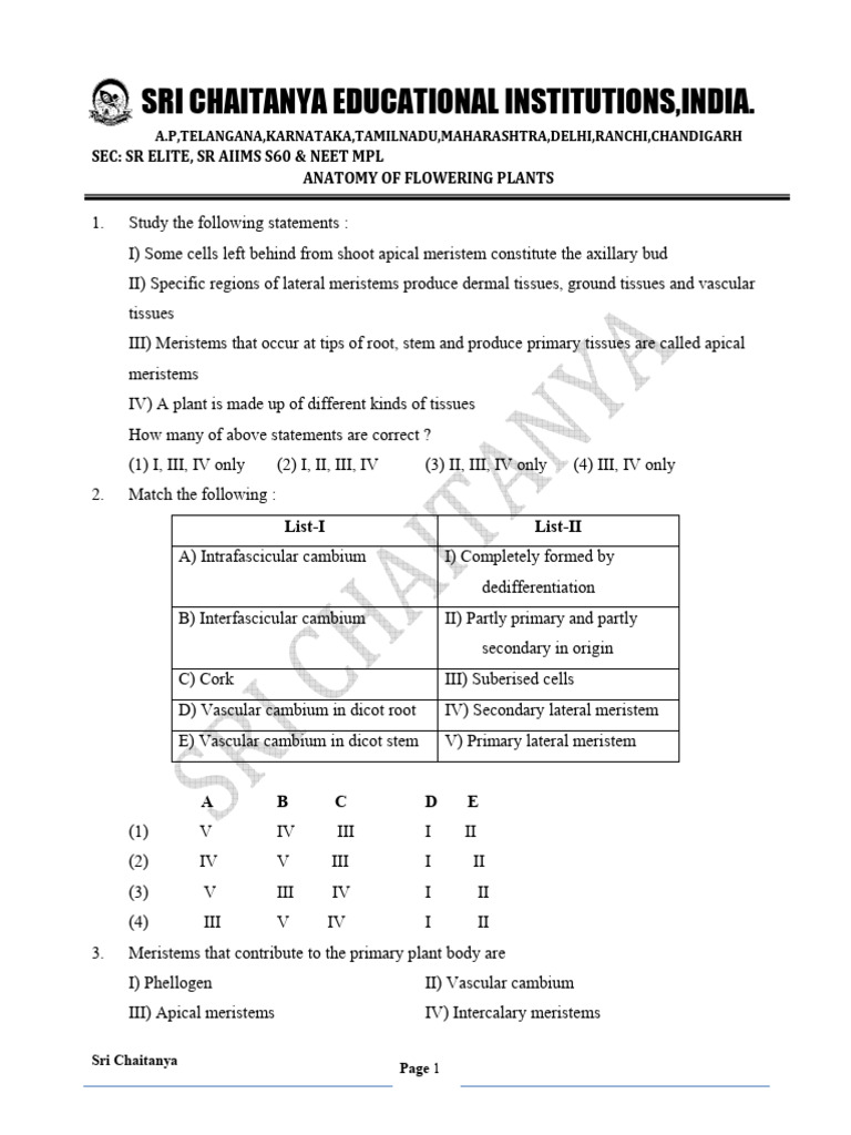 BOTANY ANATOMY OF FLOWERING PLANTS PDF Plant Stem Tissue (Biology)