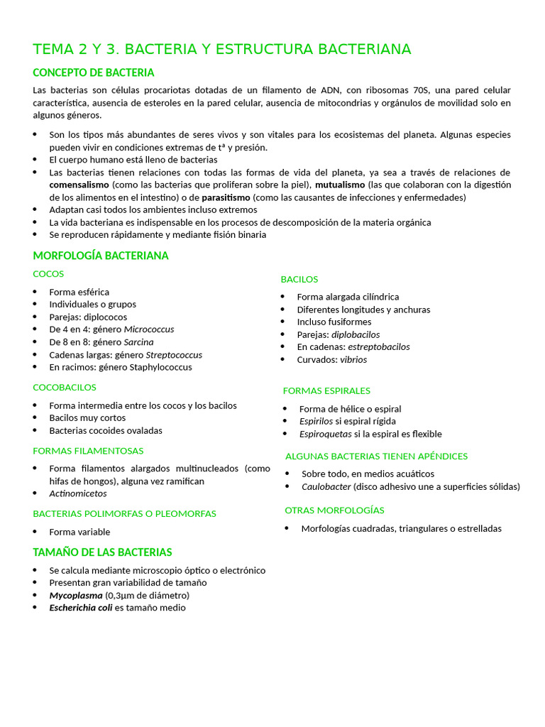 Tema 2 y 3. Bacteria y Estructura Bacteriana | PDF | Las bacterias ...