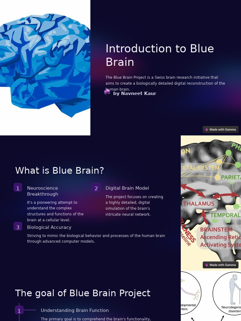 Blue Brain Project: Digital Brain Insights | PDF | Neuroscience | Brain