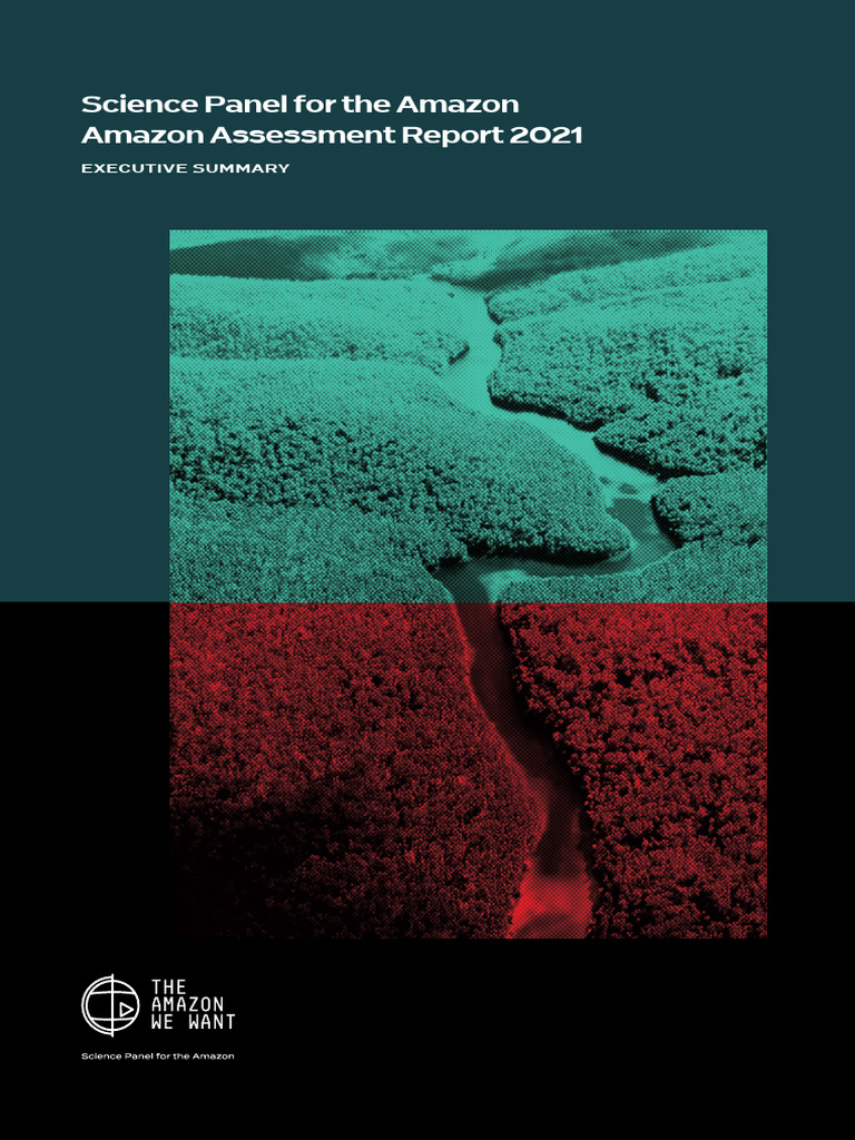 Amazon Assessment Report 2021 Summary | PDF | Primary Production ...