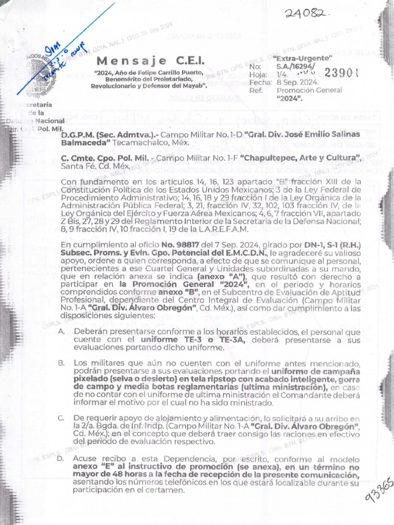 16294-23901 - Promocion General 2024 | PDF