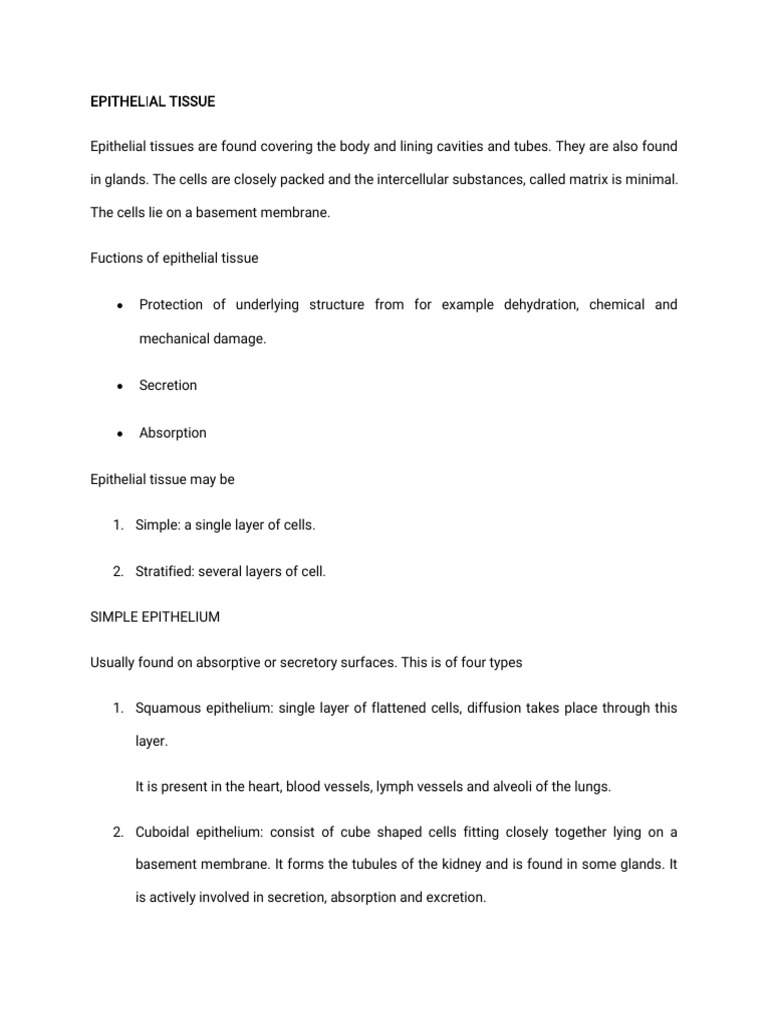 Overview of Epithelial and Connective Tissues | PDF | Epithelium ...