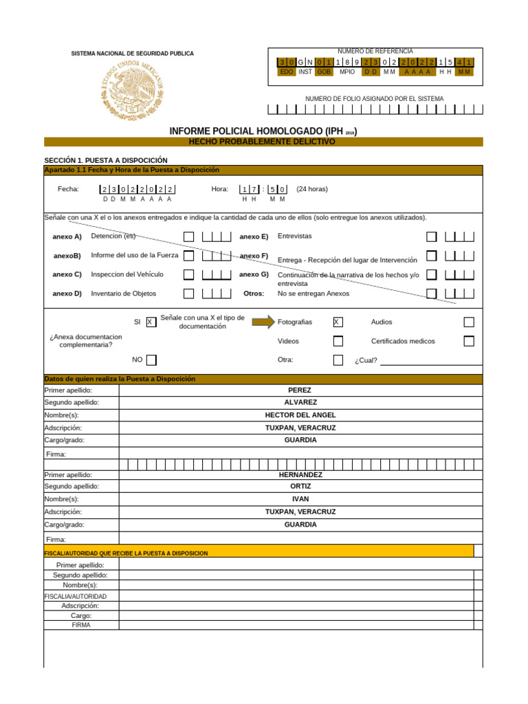 Copia de IPH_Editable LLENO2 | PDF | Policía | Gobierno