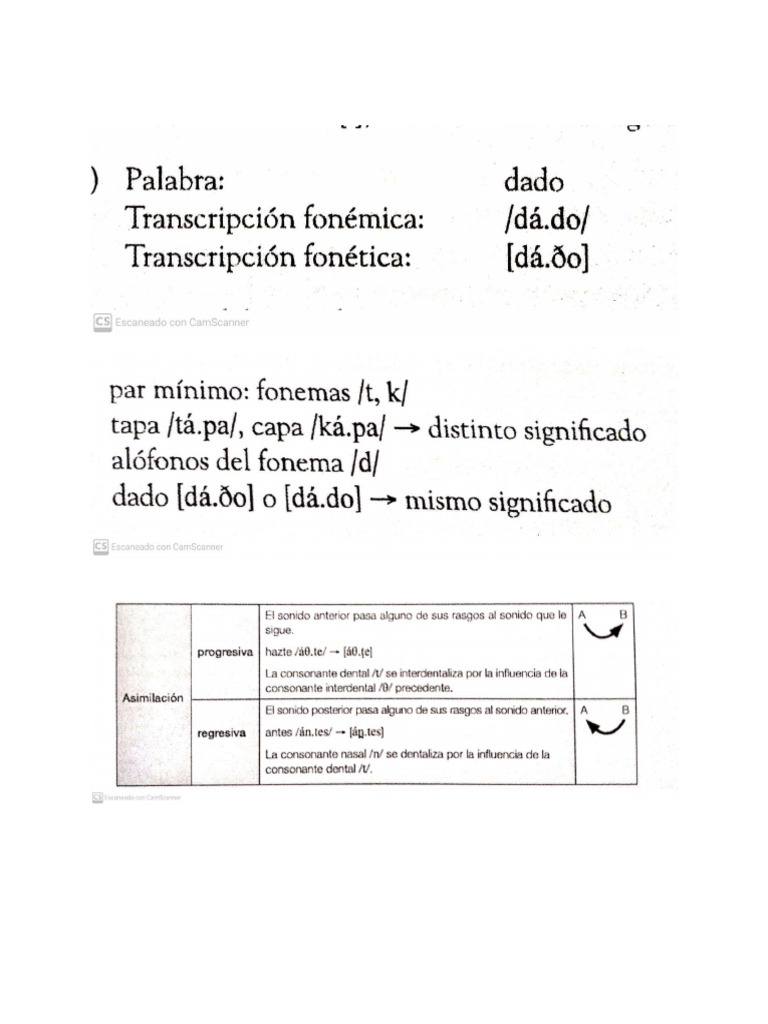 La Fonética | PDF | Artes del Lenguaje y Comunicación