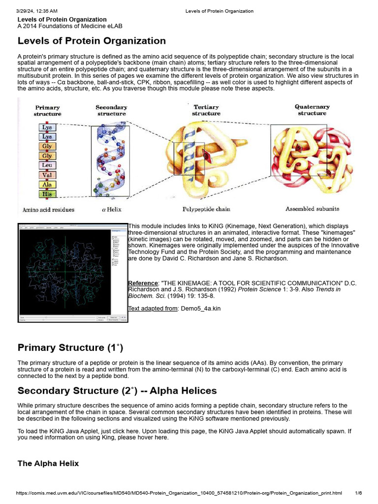 Levels of Protein Organization | PDF | Beta Sheet | Protein Structure