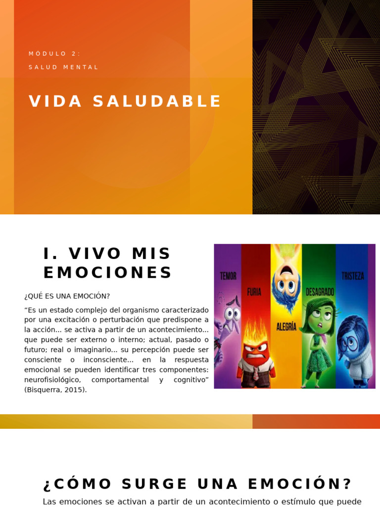 Salud Mental | PDF | Las emociones | Pensamiento