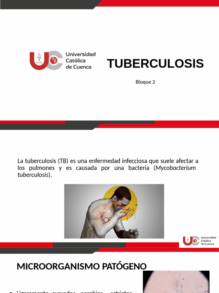 Tuberculosis | PDF | Tuberculosis | Infección