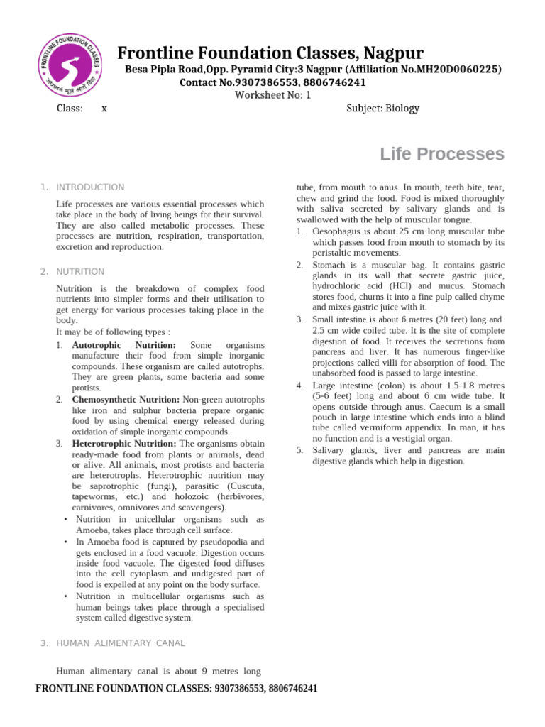 Biology Life Processes Overview | PDF | Digestion | Lung
