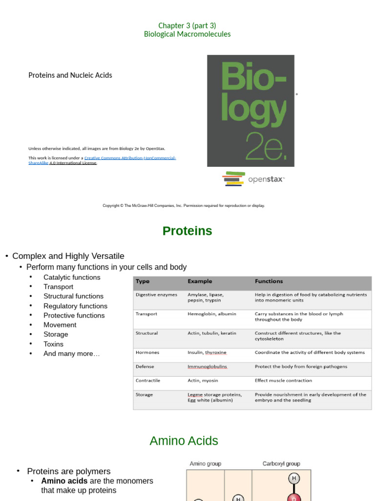 BIO 101 Openstax Chapter 3 Part 3 Summer 2022 | PDF | Nucleotides ...