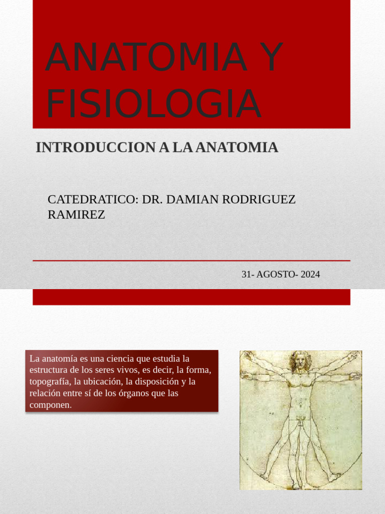 Anatomia Y Fisiologia Pdf Hueso Biología Celular