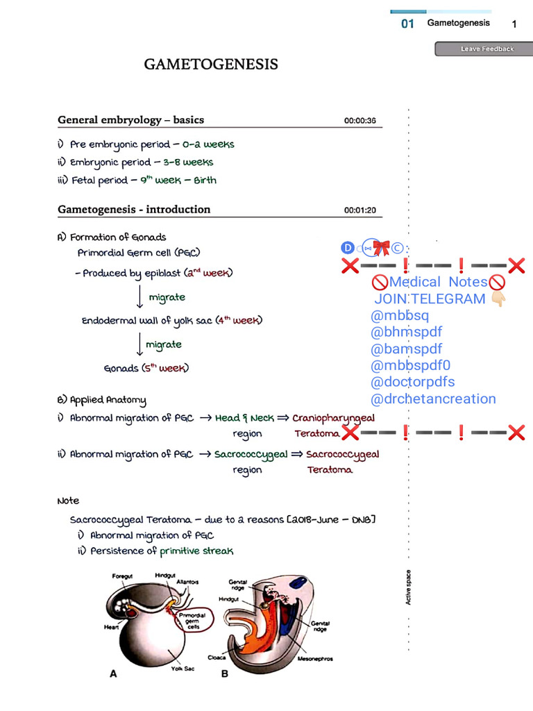 Marrow Anatomy Notes PDF Download | PDF