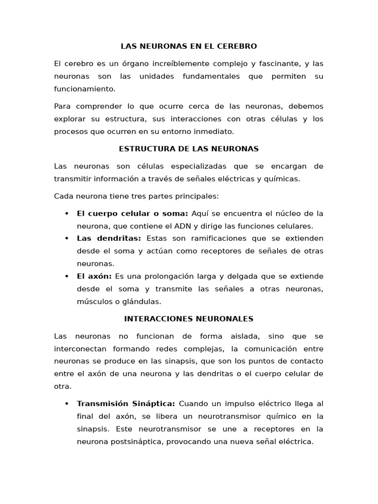 Estructura y Función de las Neuronas | PDF | Sinapsis | Neurona