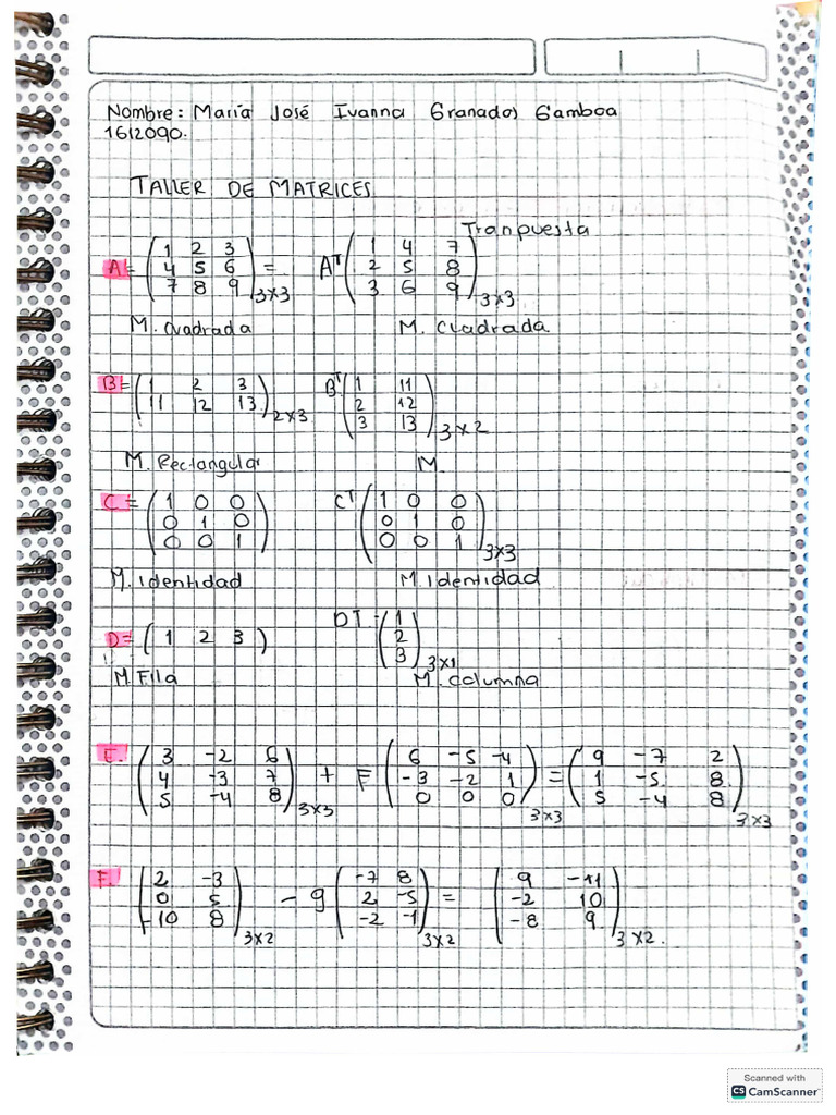 Taller 8 Matrices | PDF