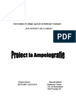 Proiect Ampelografie