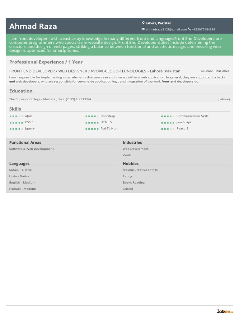Front End Developer Profile - Ahmad Raza | PDF | Art | Computers