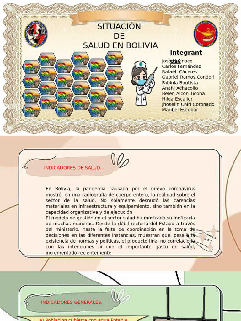 Situacion de Salud en Bolivia - Grupo 4 | PDF | Enfermería | Bolivia