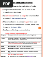 Cattle Taxonomy and Breeds Overview | PDF | Cattle | Bull