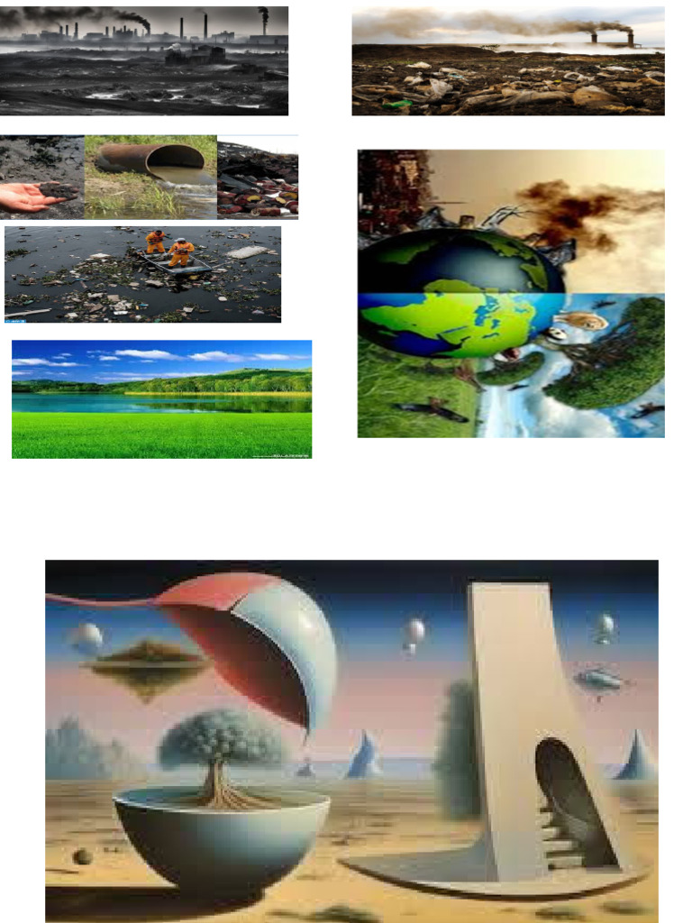 Name Any Four Cell Organelles And List Their Functions