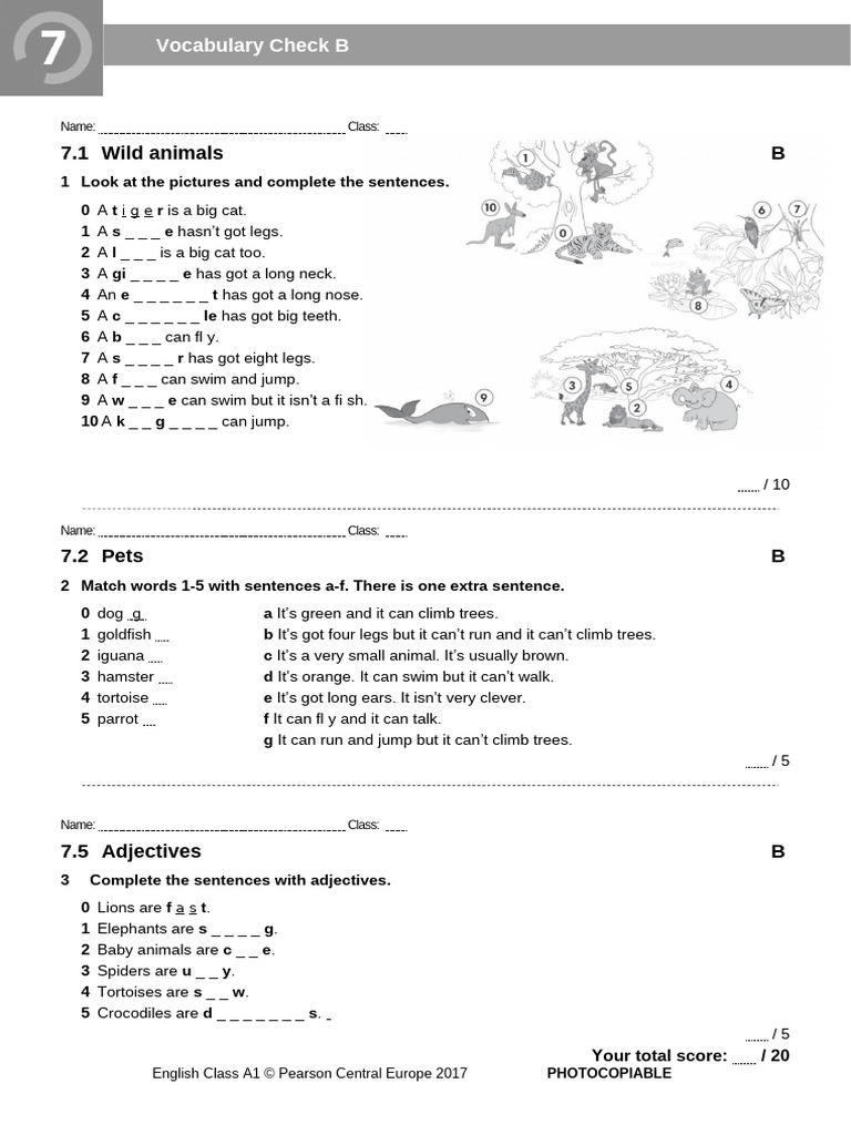 Vocabulary Check: Animals and Adjectives | PDF