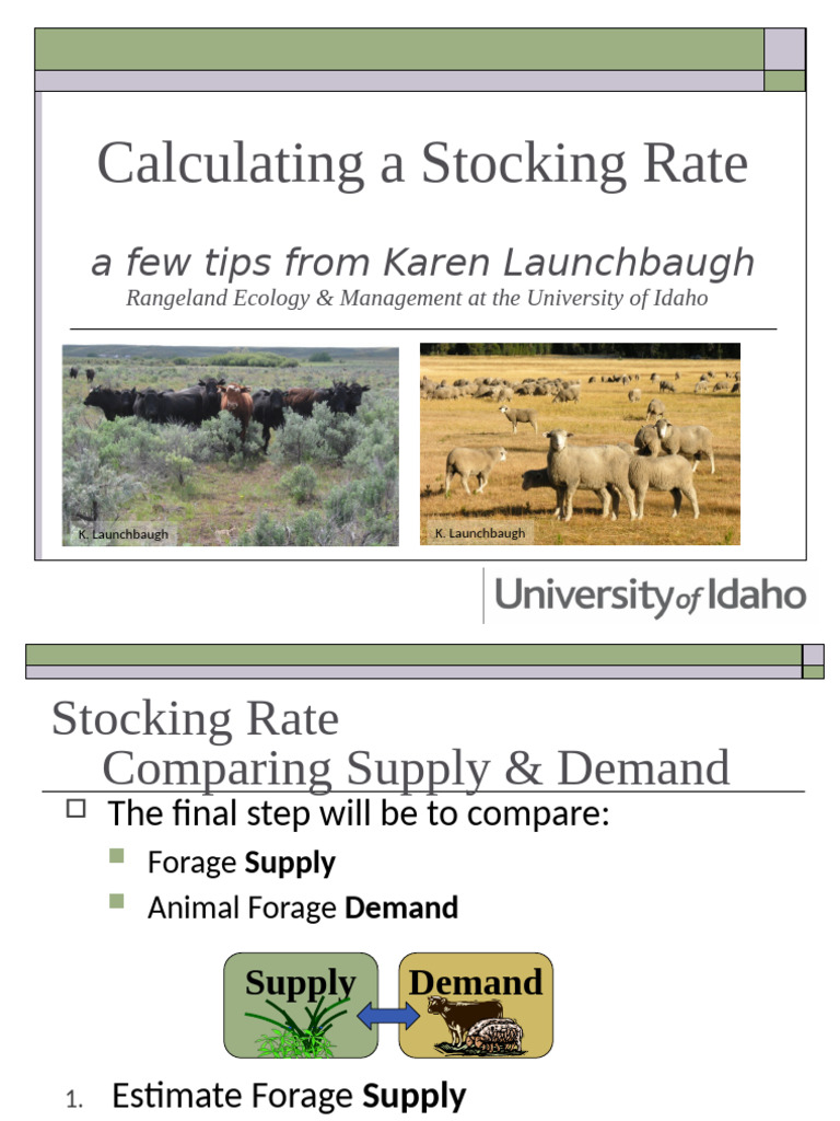 Stocking Rate Calculation Guide | PDF | Sheep | Pound (Mass)