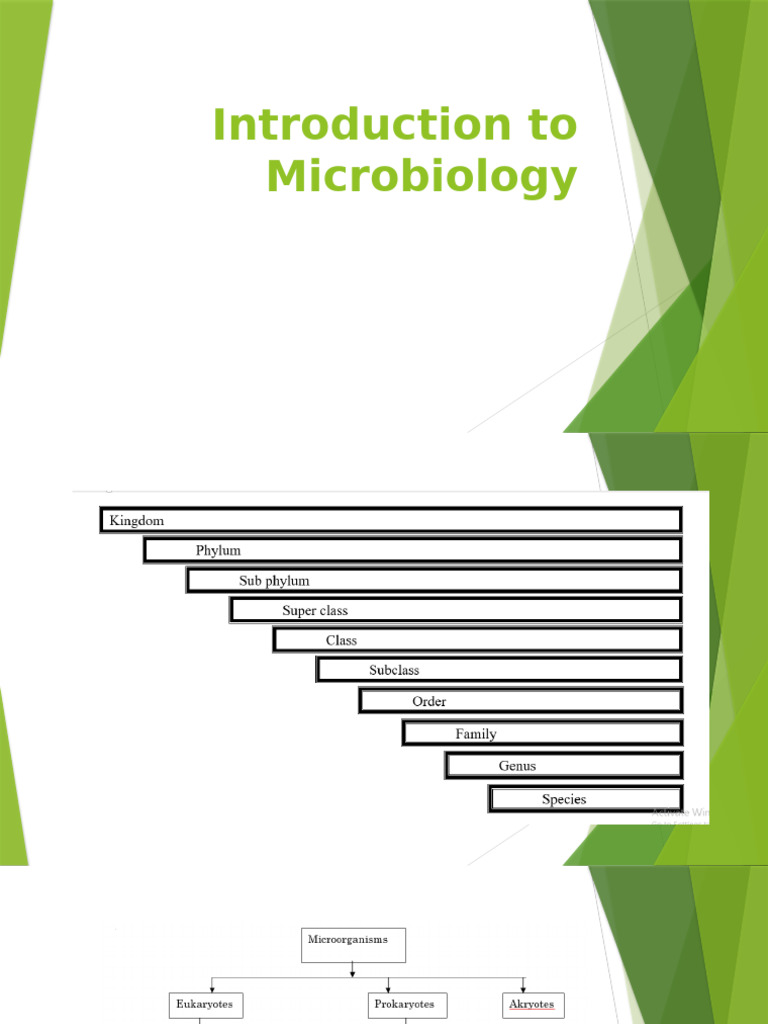 Introduction To Microbiology | PDF | Protozoa | Microorganism