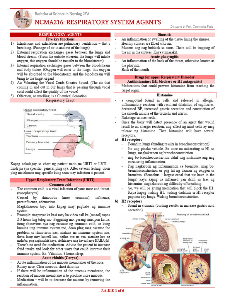 Nursing Students' Respiratory Guide | PDF | Respiratory System | Lung