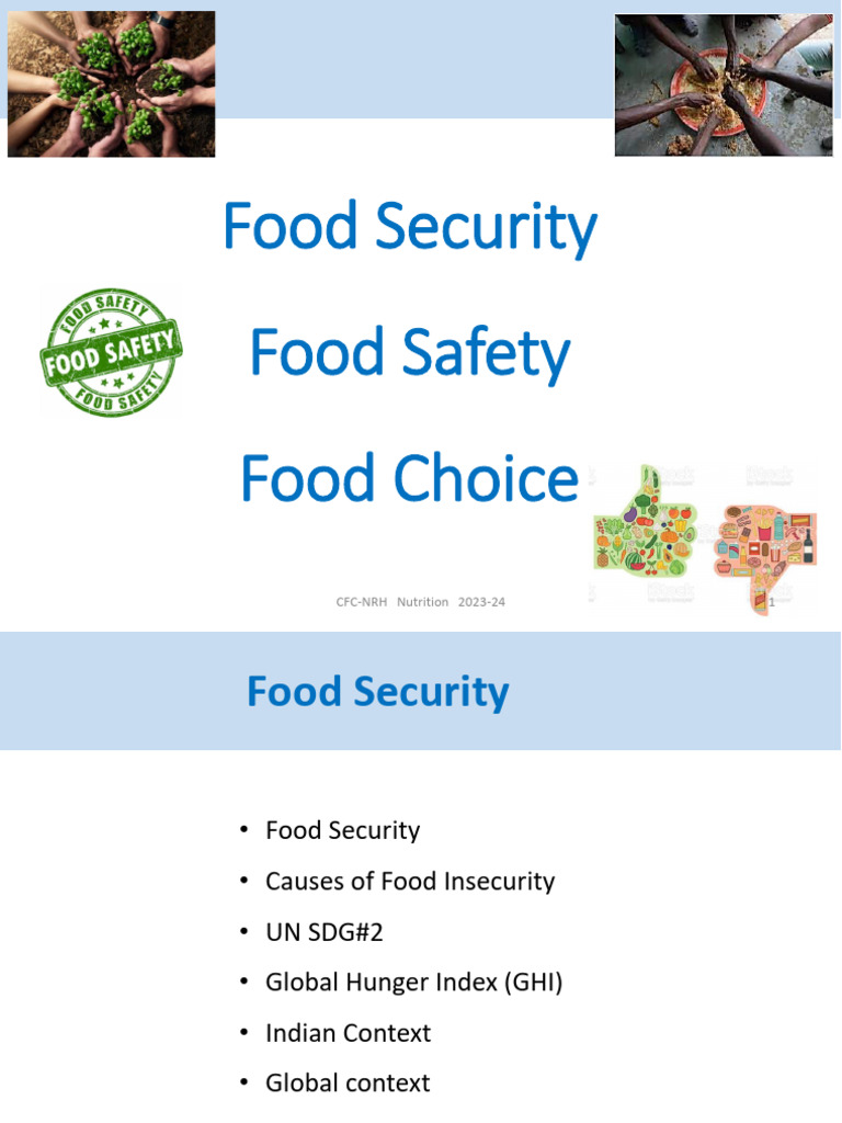 Understanding Food Security and Safety | PDF | Poverty | Poverty ...